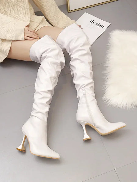 Bota Cano Alto Feminina Anita